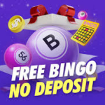Best No Deposit Bingo Sites usa