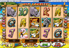 Wild Gambler Slot game
