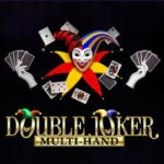 Double Pay Poker Multi-Hand